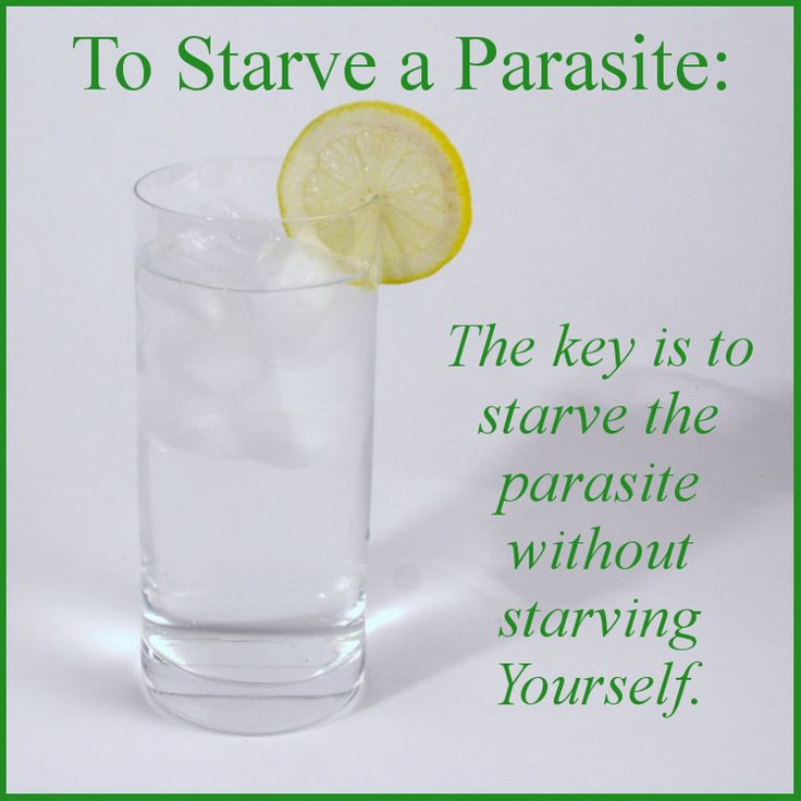 Best ideas about DIY Parasite Cleanse
. Save or Pin Best 25 Parasite cleanse ideas on Pinterest Now.