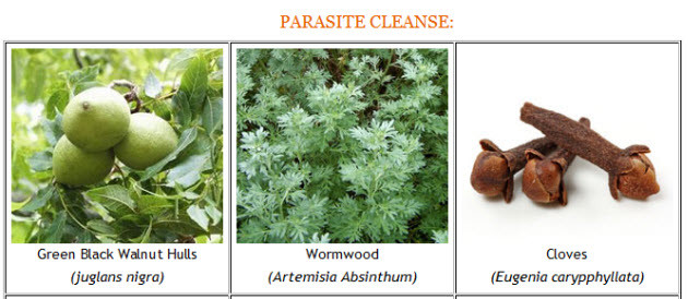 Best ideas about DIY Parasite Cleanse
. Save or Pin Homemade Parasite Cleanse Recipe – Blog Dandk Now.