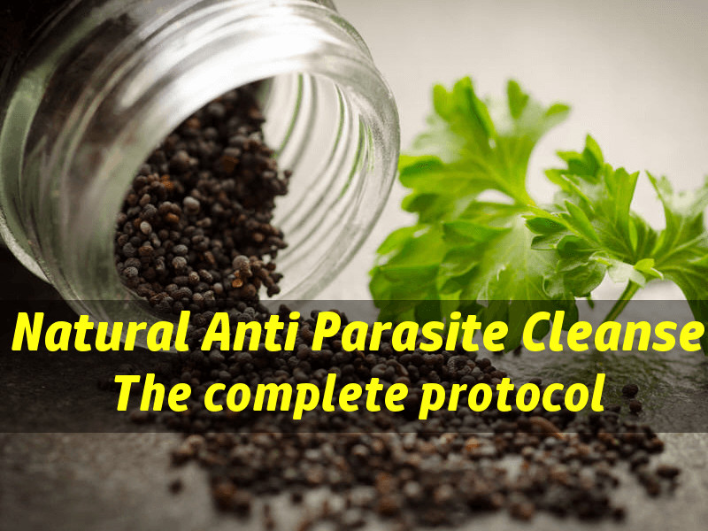 Best ideas about DIY Parasite Cleanse
. Save or Pin Homemade Parasite Cleanse Recipe Now.