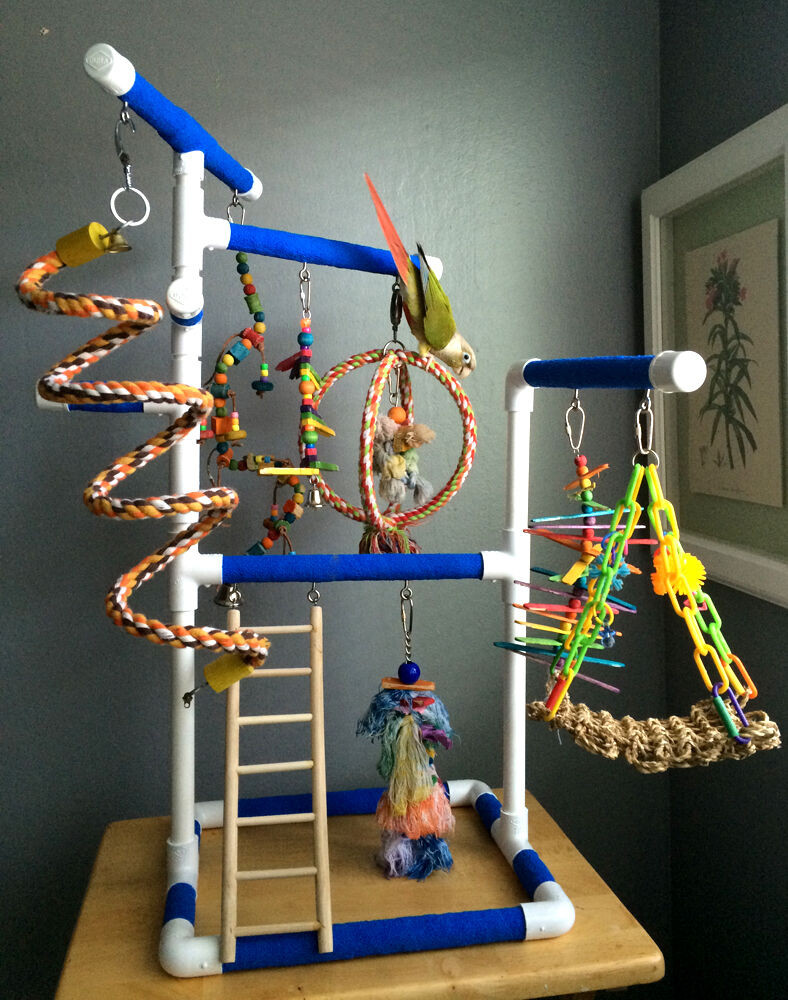 Best ideas about DIY Parrot Toys
. Save or Pin BLUE Medium Tabletop & Ca op PVC Bird Gym Play Stand Now.