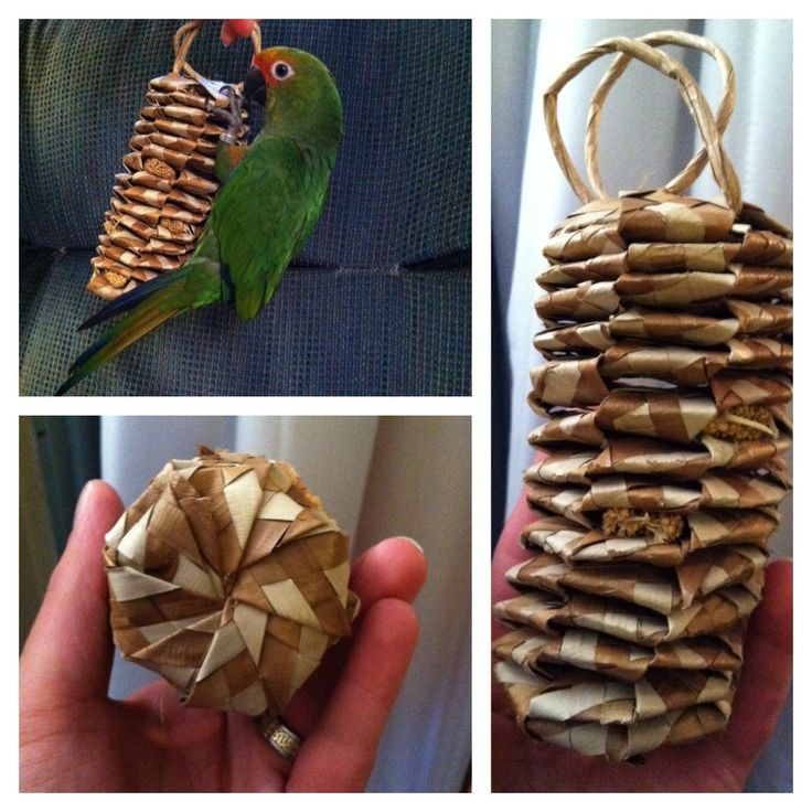 Best ideas about DIY Parrot Toys
. Save or Pin 1000 images about DIY Bird Toys on Pinterest Now.