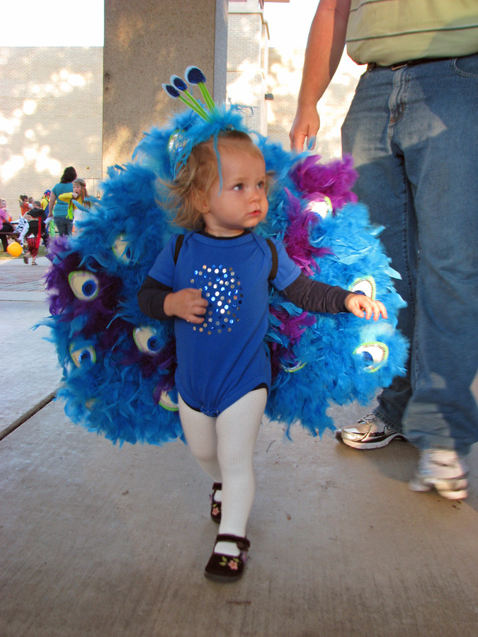 Best ideas about DIY Peacock Costume
. Save or Pin DIY Peacock Costume Now.