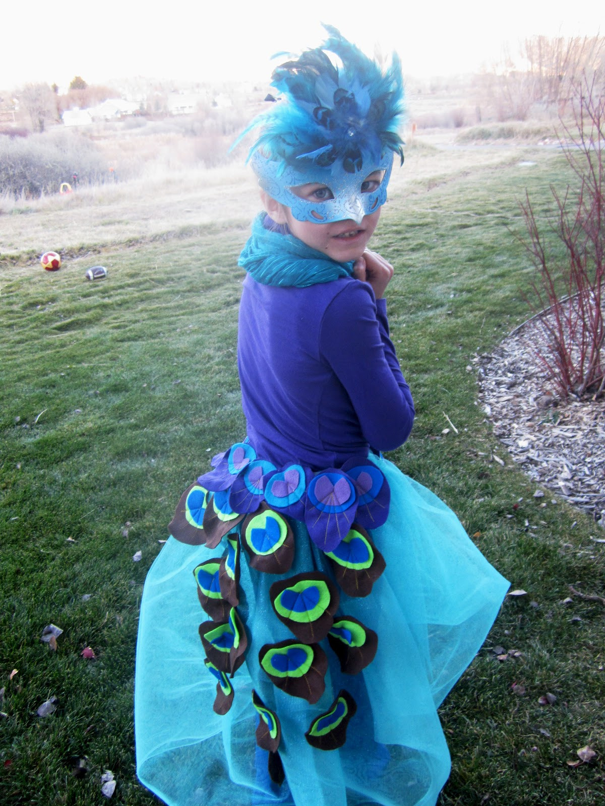 Best ideas about DIY Peacock Costume
. Save or Pin DIY Peacock Costume Now.