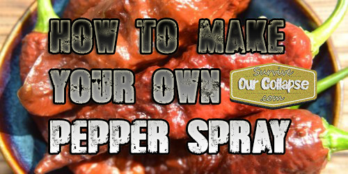 Best ideas about DIY Pepper Spray
. Save or Pin DIY How to make your own pepper spray Survive Our Collapse Now.