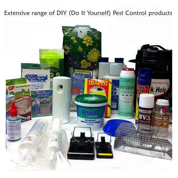 Best ideas about DIY Pest Control
. Save or Pin Flybusters Antiants suppliers of professional DIY Pest Now.