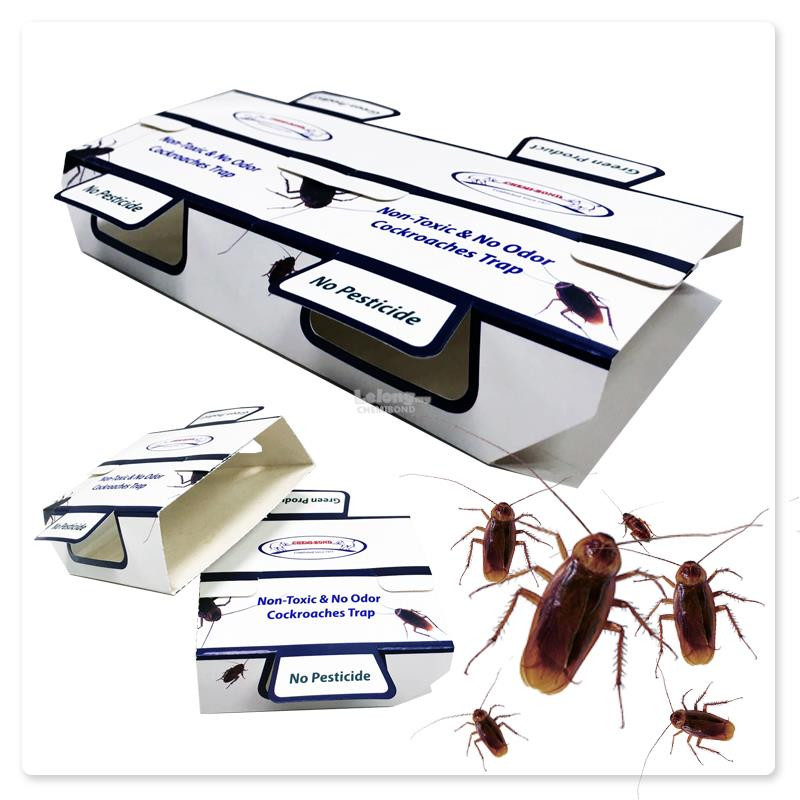 Best ideas about DIY Pest Control Coupon
. Save or Pin Cockroach trap 2pc pack non toxic end 12 27 2017 11 15 AM Now.