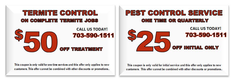 Best ideas about DIY Pest Control Coupon
. Save or Pin Termite & Pest Control in Northern VA Now.