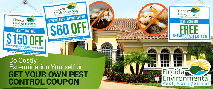 Best ideas about DIY Pest Control Coupon
. Save or Pin Do Costly Extermination Yourself or Get Your Own Pest Now.