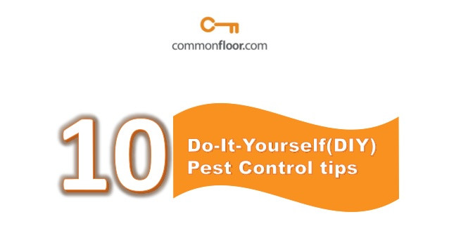 Best ideas about DIY Pest Control
. Save or Pin 10 Do it Yourself DIY pest control tips for a pest free home Now.