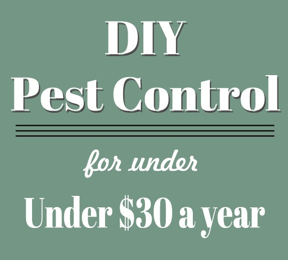 Best ideas about DIY Pest Control
. Save or Pin DIY Pest Control for Under $30 a Year Now.