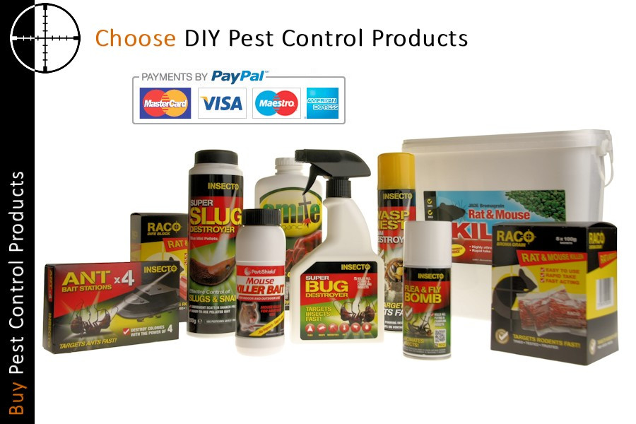 Best ideas about DIY Pest Control
. Save or Pin UK Pest Control from Millennium Pest Control Now.