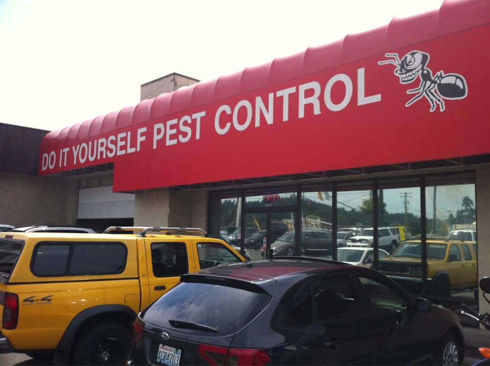 Best ideas about DIY Pest Control Near Me
. Save or Pin Do It Yourself Pest Control Pest Control Now.