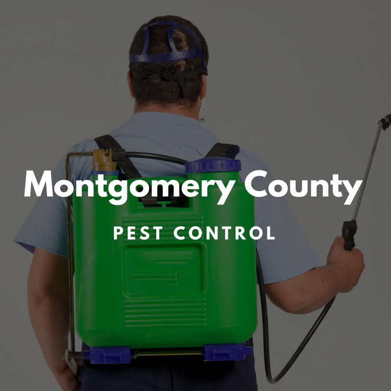 Best ideas about DIY Pest Control Near Me
. Save or Pin Montgomery County Pest Control Now.