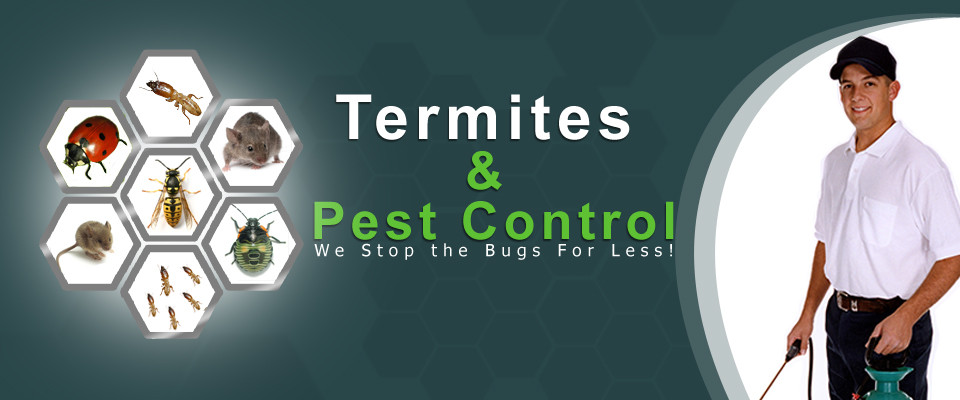 Best ideas about DIY Pest Control Near Me
. Save or Pin Termite Control Spring TX Now.