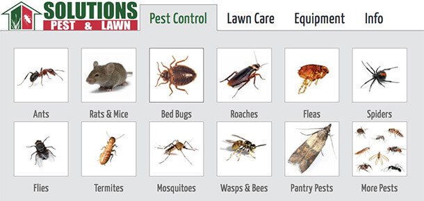 Best ideas about DIY Pest Control Supply Store
. Save or Pin Who Is Responsible for Pest Control Landlords or Tenants Now.