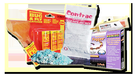 Best ideas about DIY Pest Control Supply Store
. Save or Pin Pest Control Dynamite Pest Control Now.