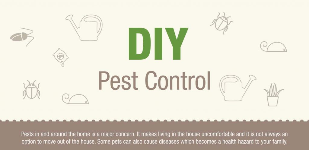Best ideas about DIY Pest Control
. Save or Pin DIY Pest Control [Infographic] Now.