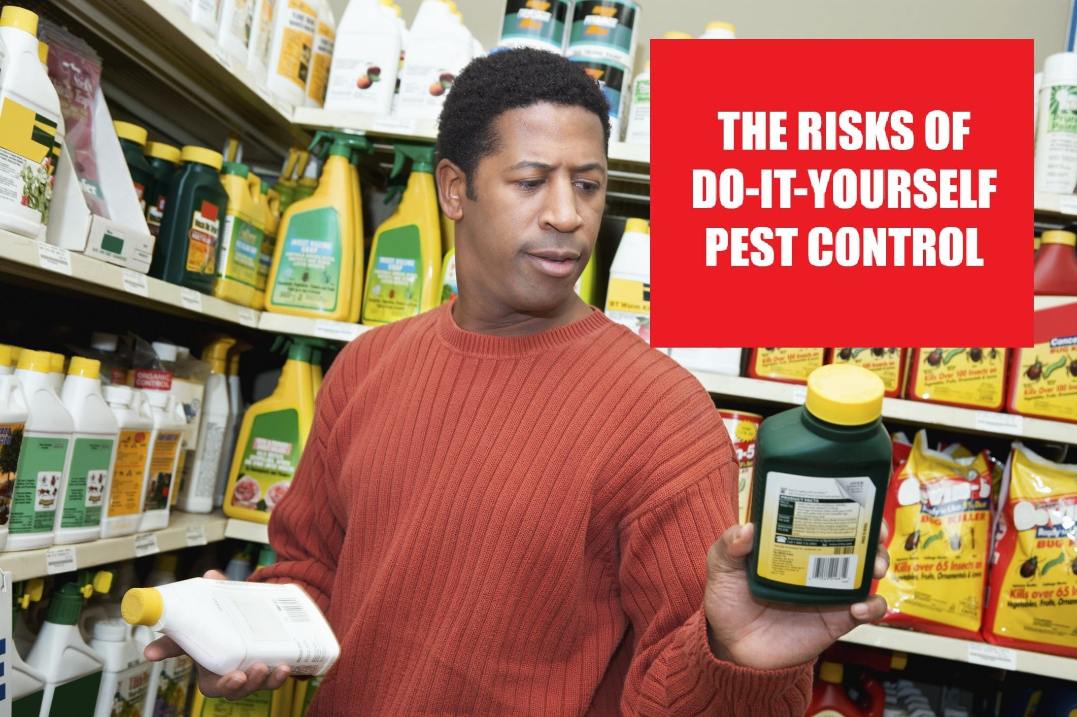 Best ideas about DIY Pest Control
. Save or Pin The Risks of Do It Yourself Pest Control deBugged Now.