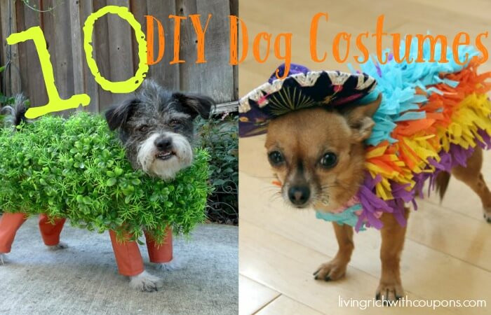 Best ideas about DIY Pet Costumes
. Save or Pin 10 Unique DIY Dog Halloween CostumesLiving Rich With Coupons Now.