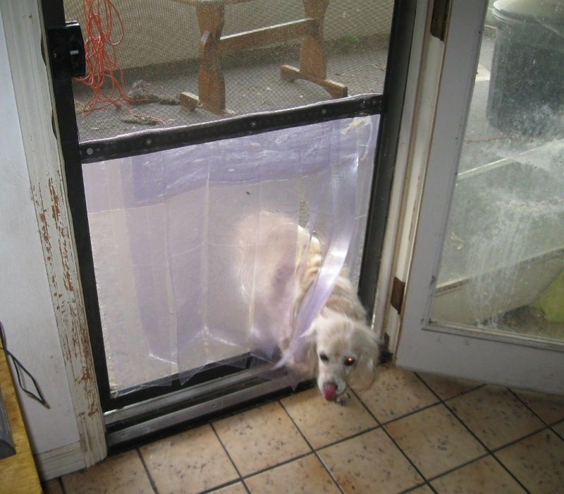 Best ideas about DIY Pet Door
. Save or Pin DIY Screen Door Dog Door petdiys Now.