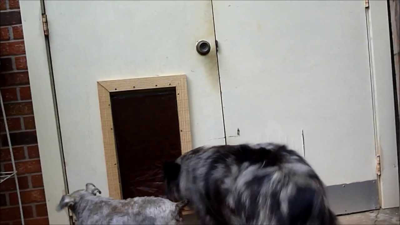 Best ideas about DIY Pet Door
. Save or Pin Homemade Doggie Door Not A Tutorial Now.