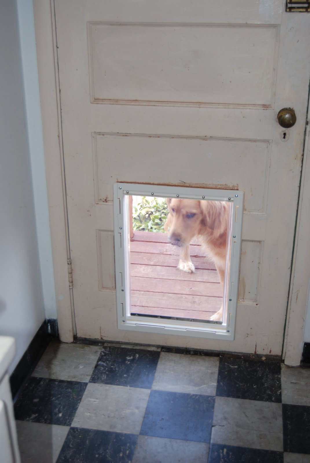 Best ideas about DIY Pet Door
. Save or Pin It s a Beautiful Day in Our Neighborhood Dog Door Now.