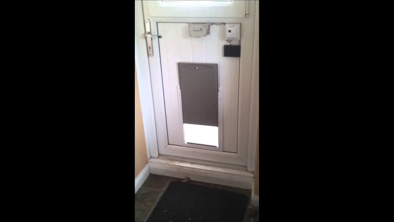 Best ideas about DIY Pet Door
. Save or Pin DIY Automatic Dog Door Now.