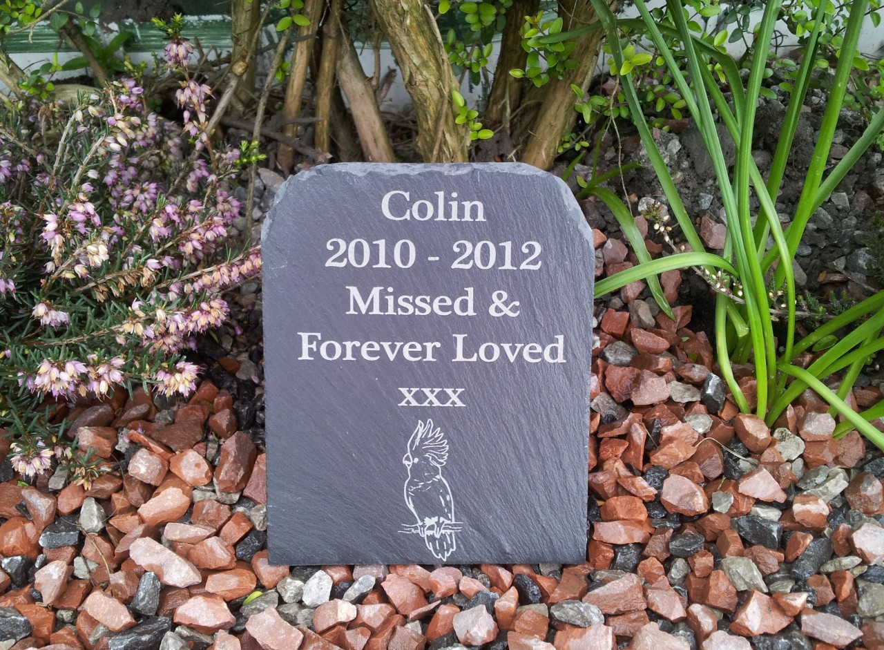 Best ideas about DIY Pet Grave Markers
. Save or Pin Natural Slate Pet Memorial Grave Marker Headstone 11cm x Now.