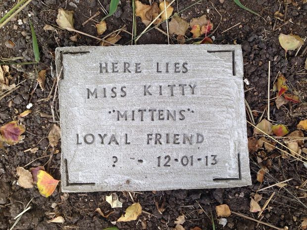 Best ideas about DIY Pet Grave Markers
. Save or Pin DIY Pet Tombstone Memorial Stone Now.