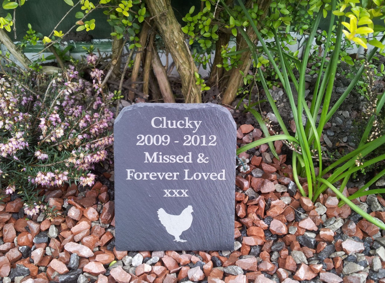 Best ideas about DIY Pet Grave Markers
. Save or Pin Natural Slate Pet Memorial Grave Marker Headstone 11cm x Now.