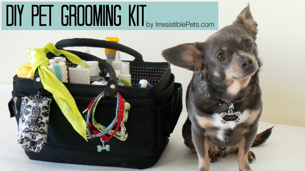 Best ideas about DIY Pet Grooming
. Save or Pin DIY Pet Grooming Kit Irresistible Pets Now.
