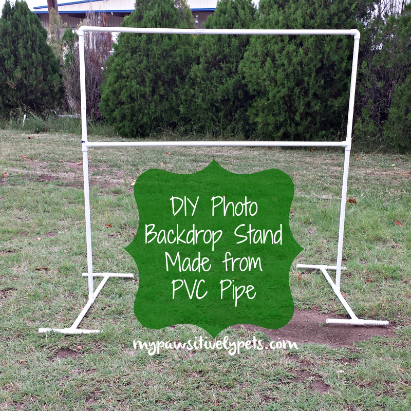 Best ideas about DIY Photo Backdrops
. Save or Pin DIY Backdrop Stand for Pets Now.