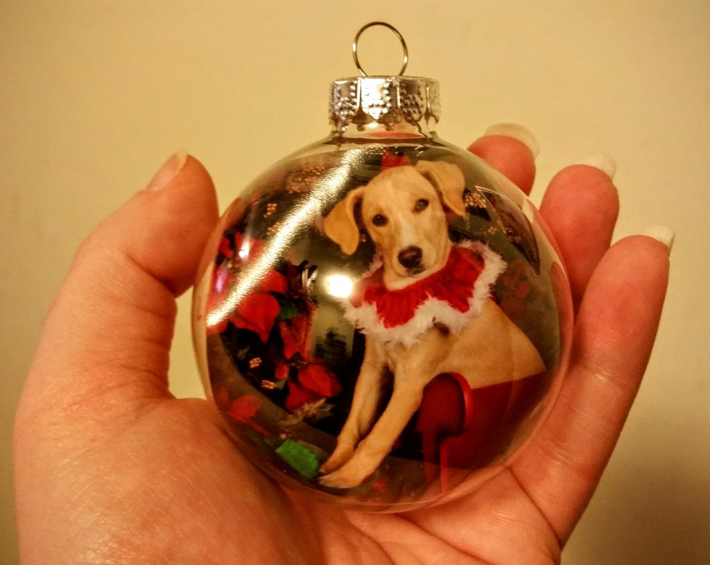 Best ideas about DIY Photo Christmas Ornament
. Save or Pin 20 Beautiful DIY Christmas Ornaments Now.
