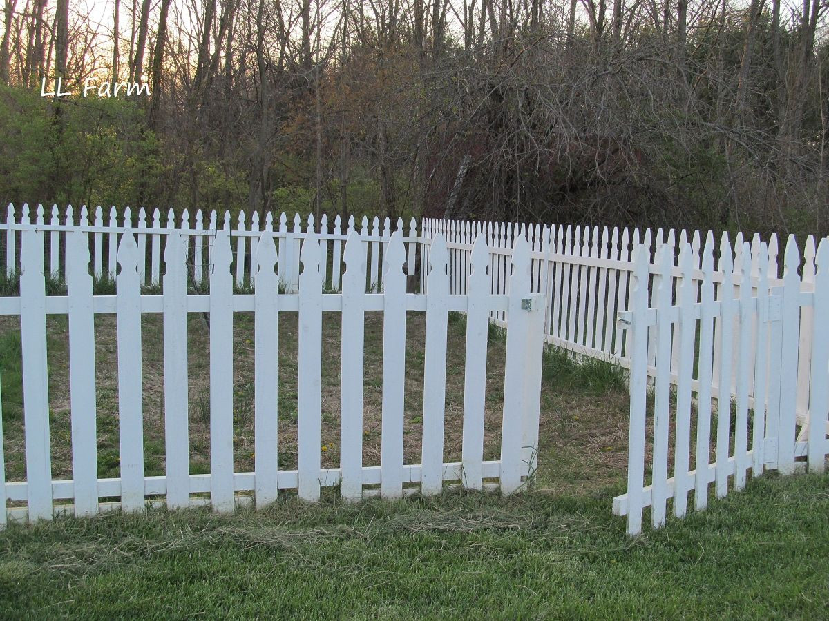 Best ideas about DIY Picket Fences
. Save or Pin DIY Garden Fence Using Picket Fence Panels Now.