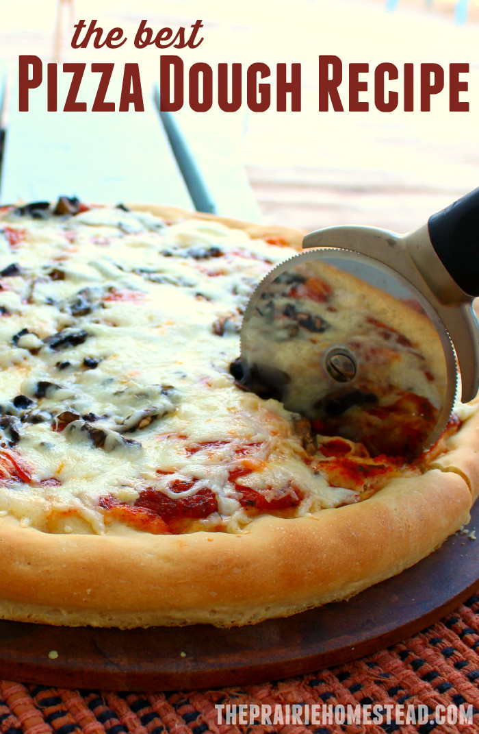 Best ideas about DIY Pizza Dough
. Save or Pin BEST Pizza Dough Recipe Now.