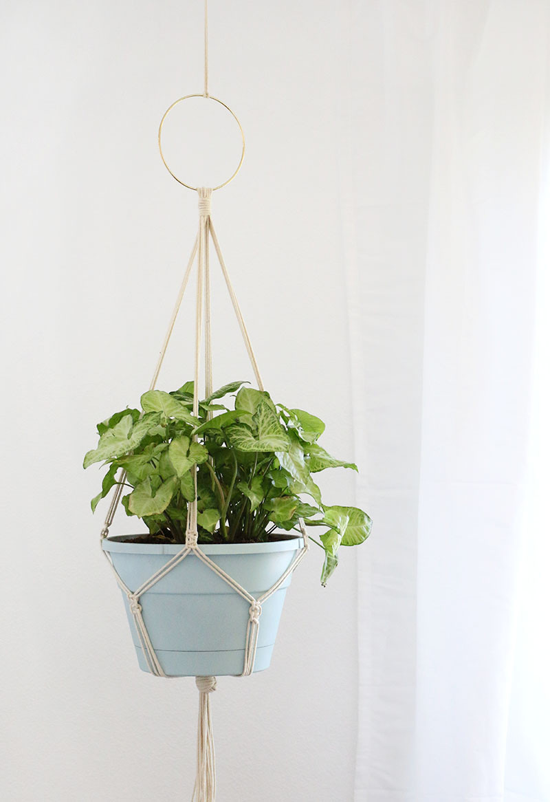 Best ideas about DIY Plant Hanger
. Save or Pin Simple DIY Macrame Plant Hanger Persia Lou Now.