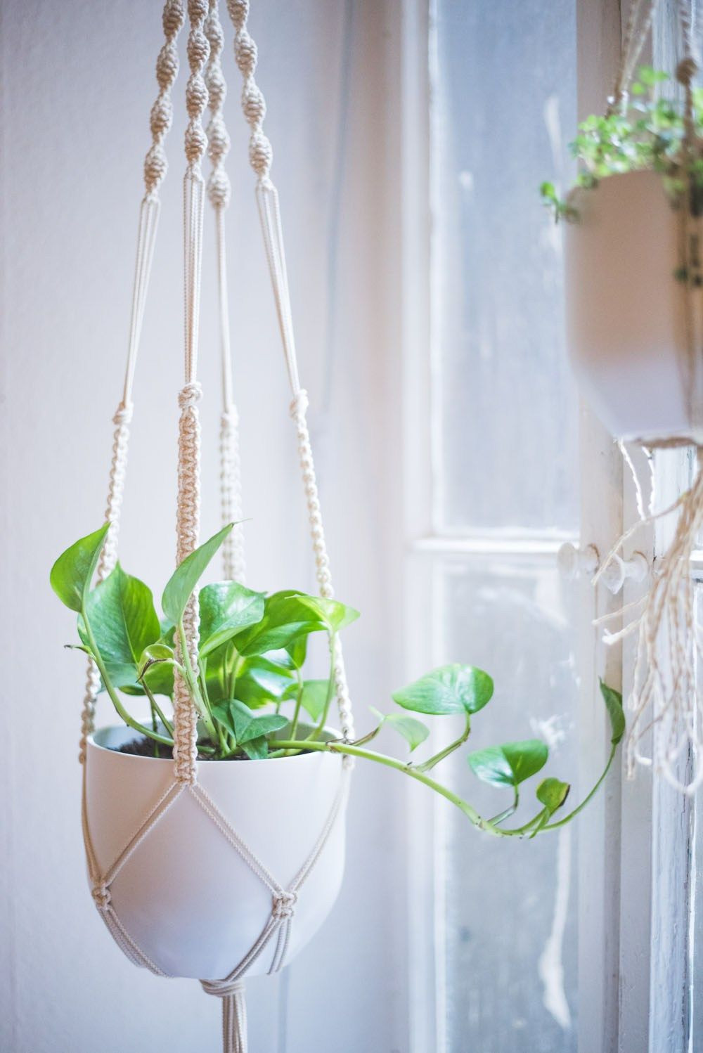 Best ideas about DIY Plant Hanger
. Save or Pin Easy Home DIY Macrame Plant Hanger Tutorial Now.