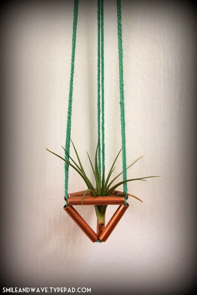 Best ideas about DIY Plant Hangers
. Save or Pin DIY Himmeli Air Plant Hanger from Smile & Wave Now.