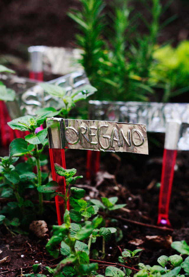 Best ideas about DIY Plant Markers
. Save or Pin DIY Plant Markers Now.