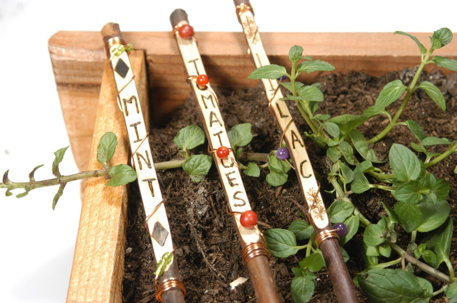 Best ideas about DIY Plant Markers
. Save or Pin 20 Creative DIY Garden Markers And Labels – The Self Now.