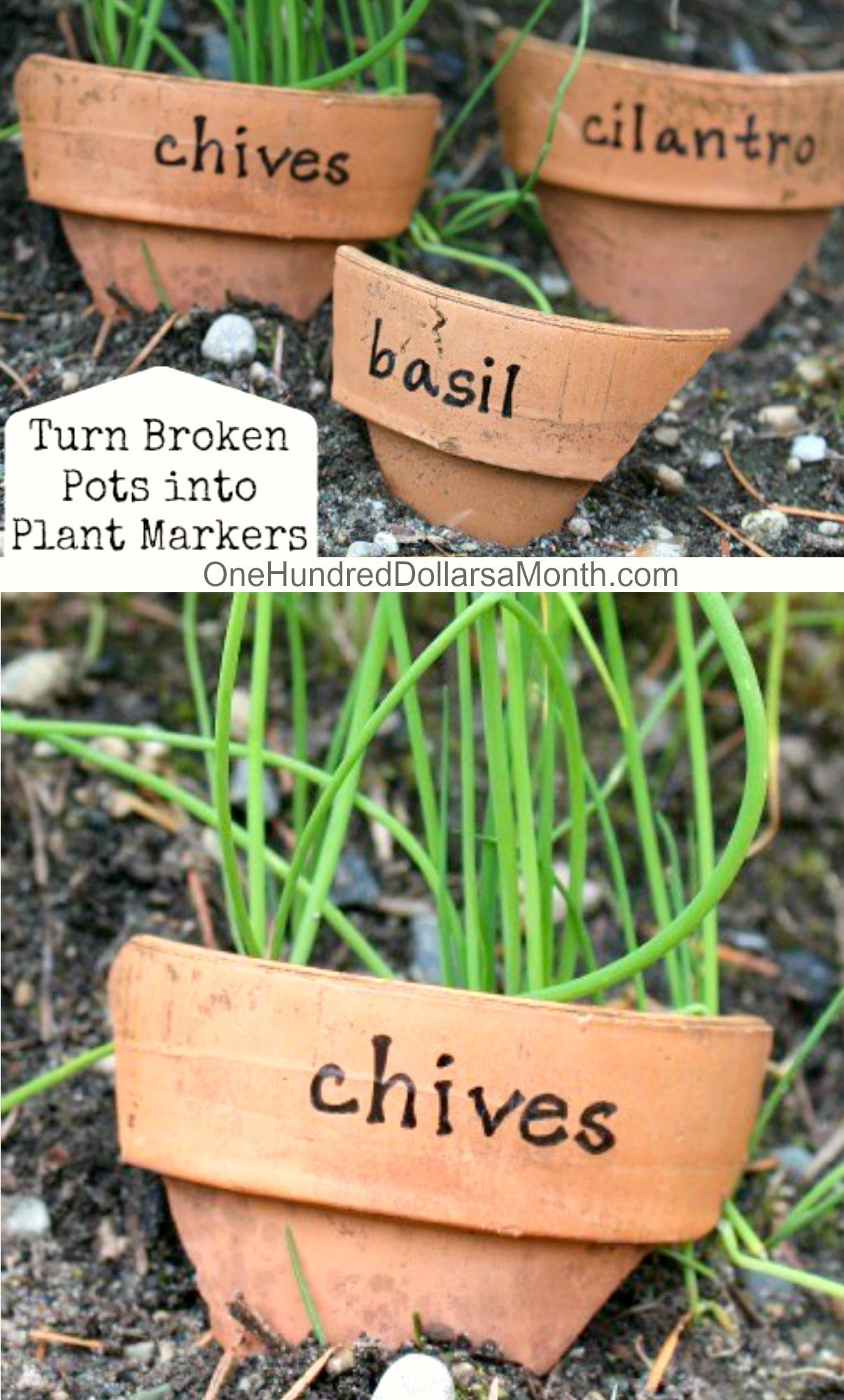 Best ideas about DIY Plant Markers
. Save or Pin DIY Plant Markers From Broken Pots e Hundred Dollars a Now.