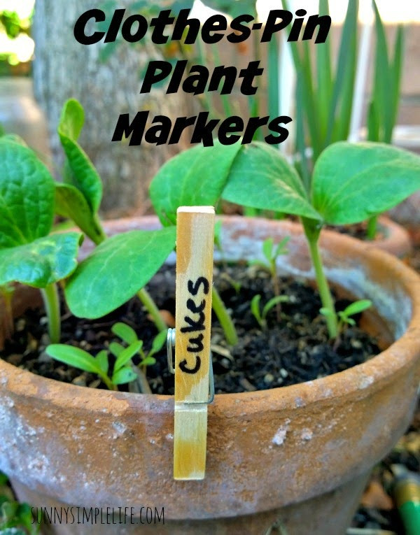 Best ideas about DIY Plant Markers
. Save or Pin Sunny Simple Life Clothespin Plant Markers Now.