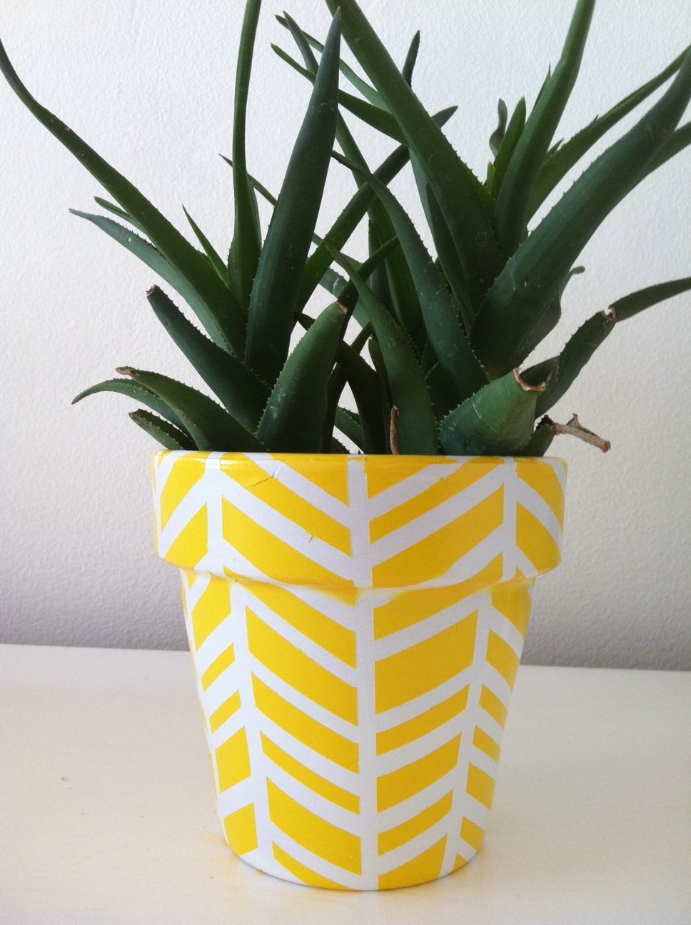 Best ideas about DIY Plant Pots
. Save or Pin Beautify Your Home And Garden With These Awesome DIY Now.