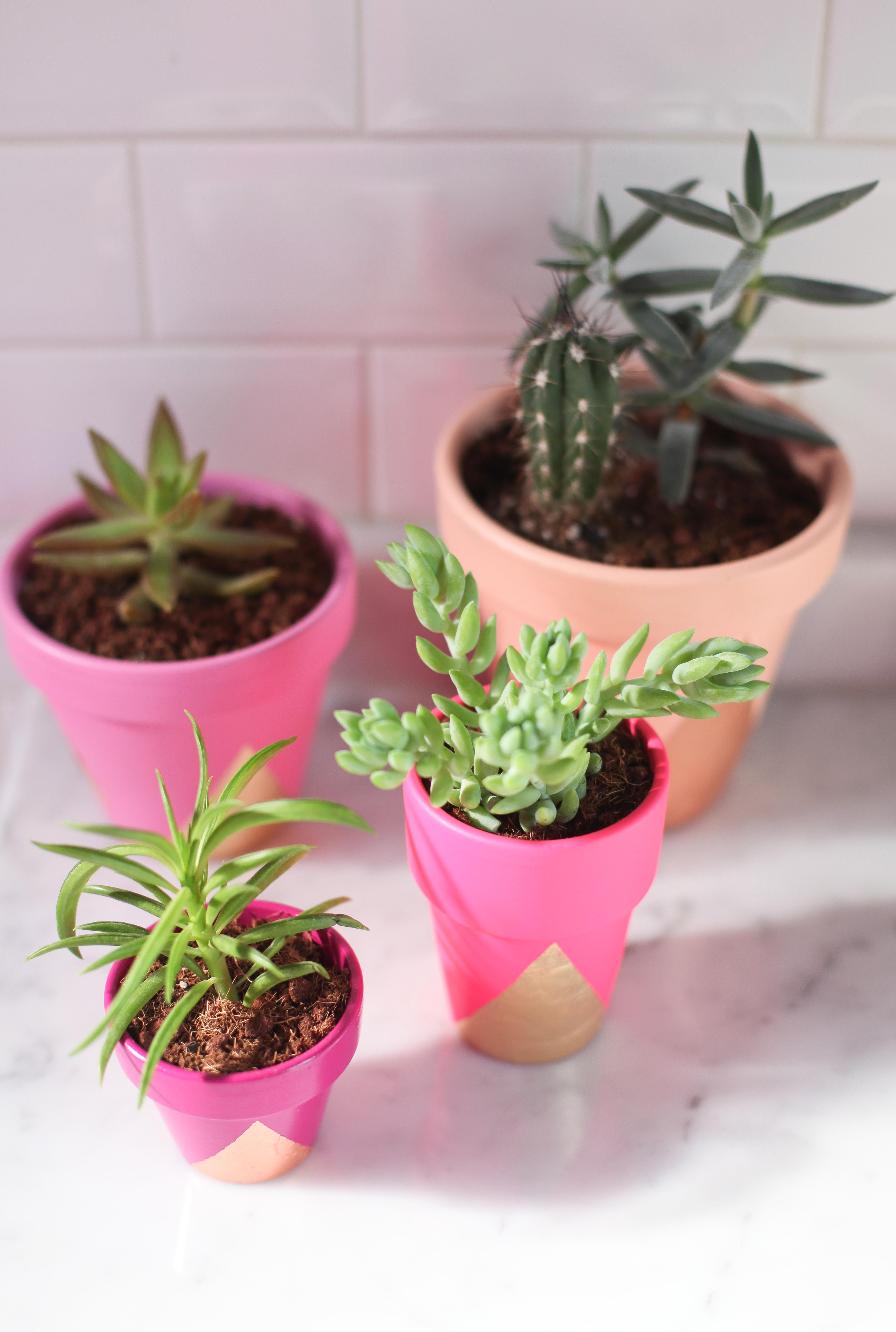 Best ideas about DIY Plant Pots
. Save or Pin DIY Now.