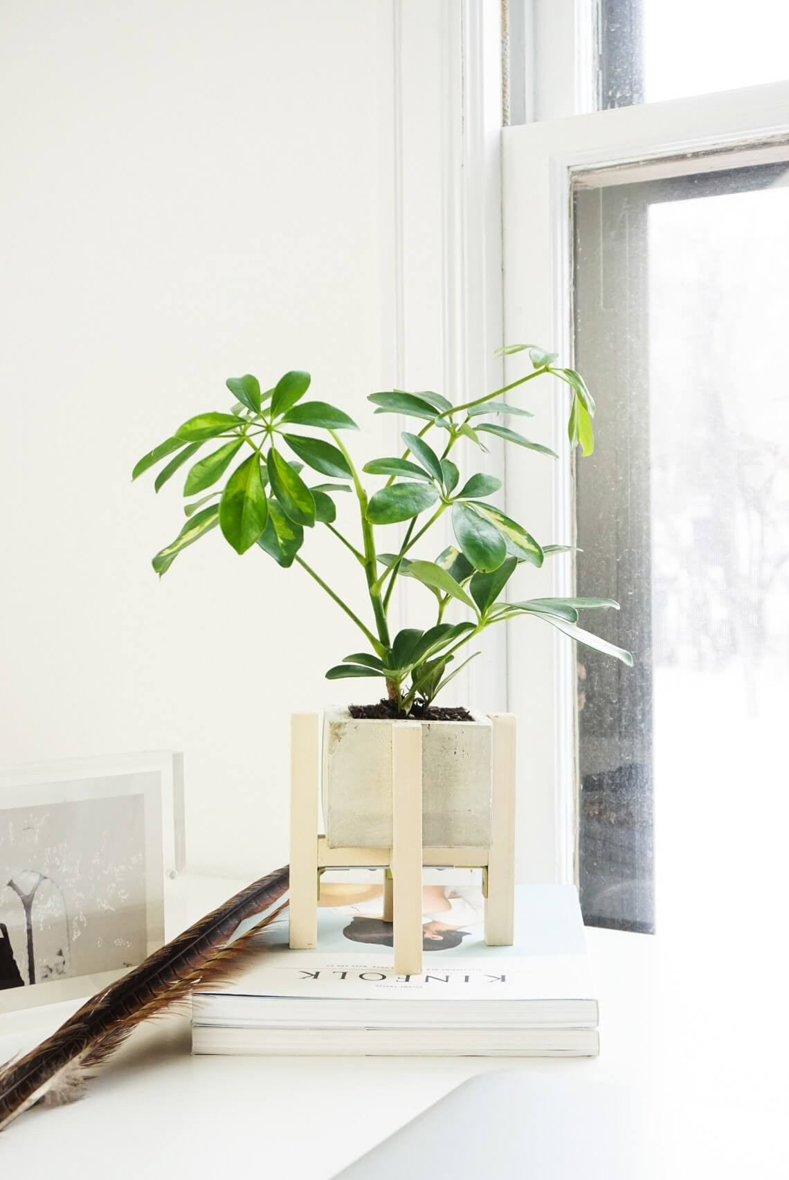 Best ideas about DIY Plant Stands
. Save or Pin 20 DIY Plant Stand Ideas That Make Your Plant More Beautiful Now.