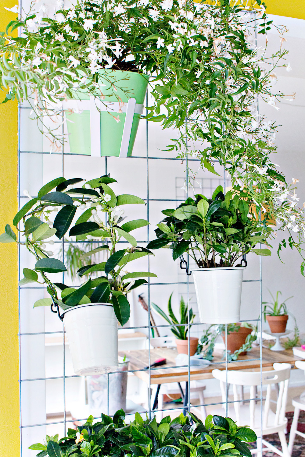 Best ideas about DIY Plant Wall
. Save or Pin GREEN DIY Now.