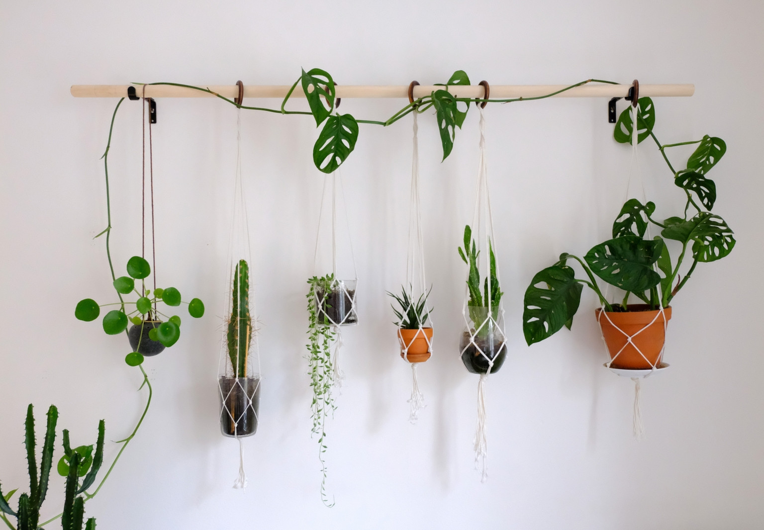 Best ideas about DIY Plant Wall
. Save or Pin DIY hanging plant wall with macrame planters Now.
