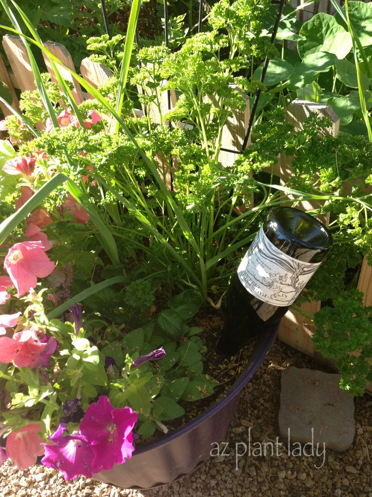 Best ideas about DIY Plant Waterer
. Save or Pin DIY Plant Watering Bottles Birds and Blooms Now.