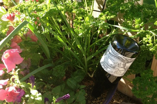 Best ideas about DIY Plant Waterer
. Save or Pin DIY Plant Watering Bottles Birds and Blooms Now.