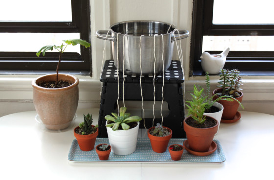 Best ideas about DIY Plant Waterer
. Save or Pin DIY Self Watering System for Houseplants Now.